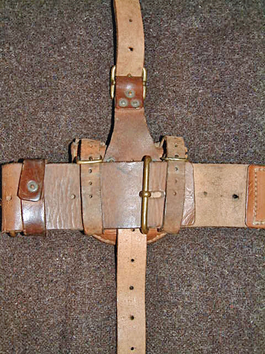 pp rear